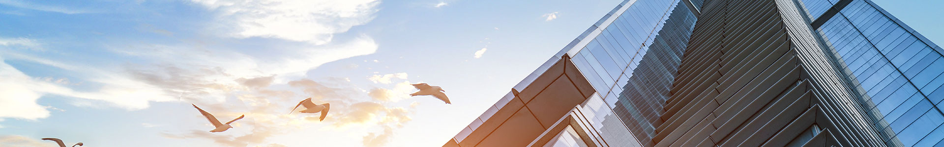 江門中天一正機電有限公司